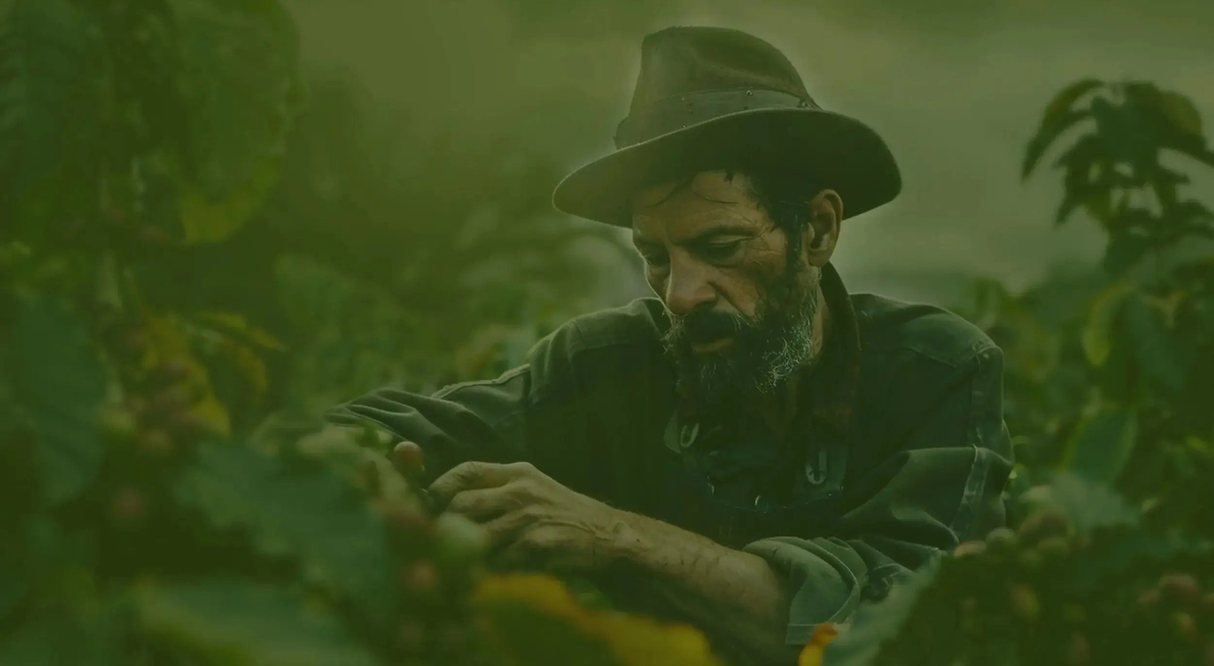 Organic Foods